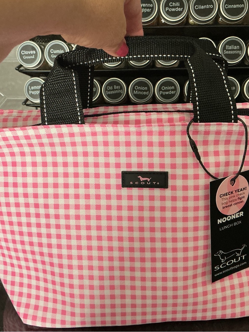 SCOUT Nooner Lunch Box - Pink Gingham
